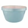 Avanti Ceramic Mixing Bowl 19.5cm/2.3L Blue -Dinnerware Sales SP 613272