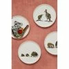 Maxwell & Williams Marini Ferlazzo Australian Families 20cm Plate Bilby 2 Maxwell & Williams Marini Ferlazzo Australian Families 20cm Plate Bilby -Dinnerware Sales SP 616909 5